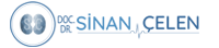 Sinan Çelen Logo